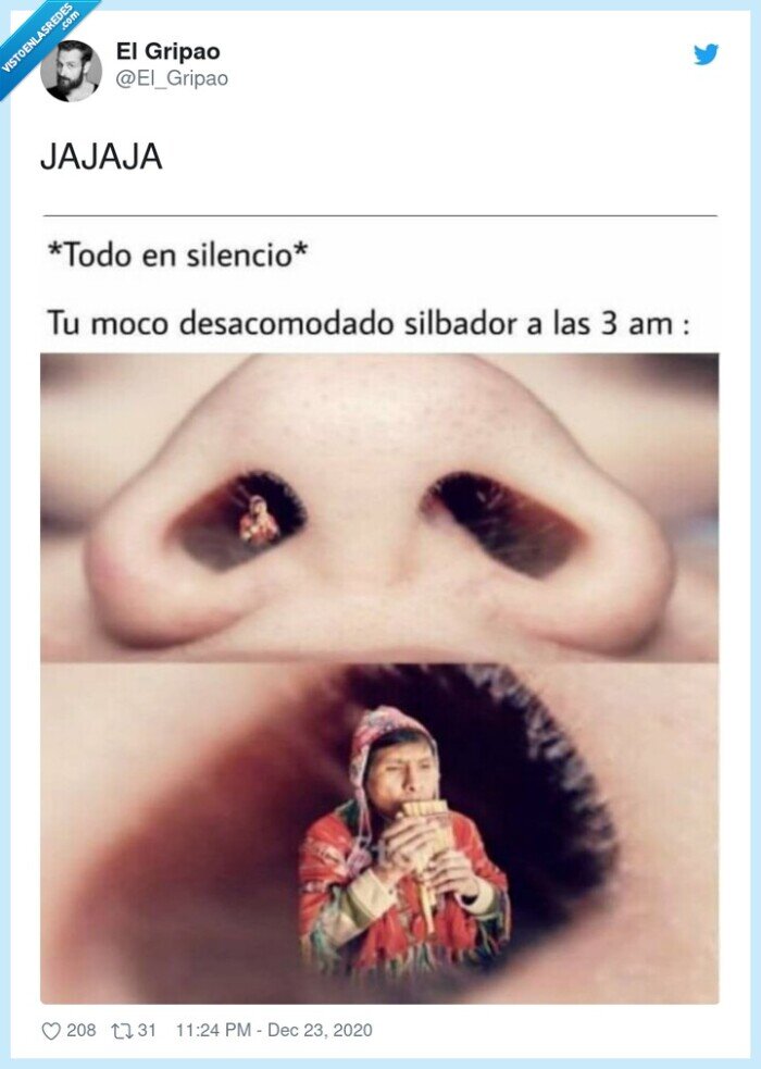 flauta,silencio,tocar,silbador