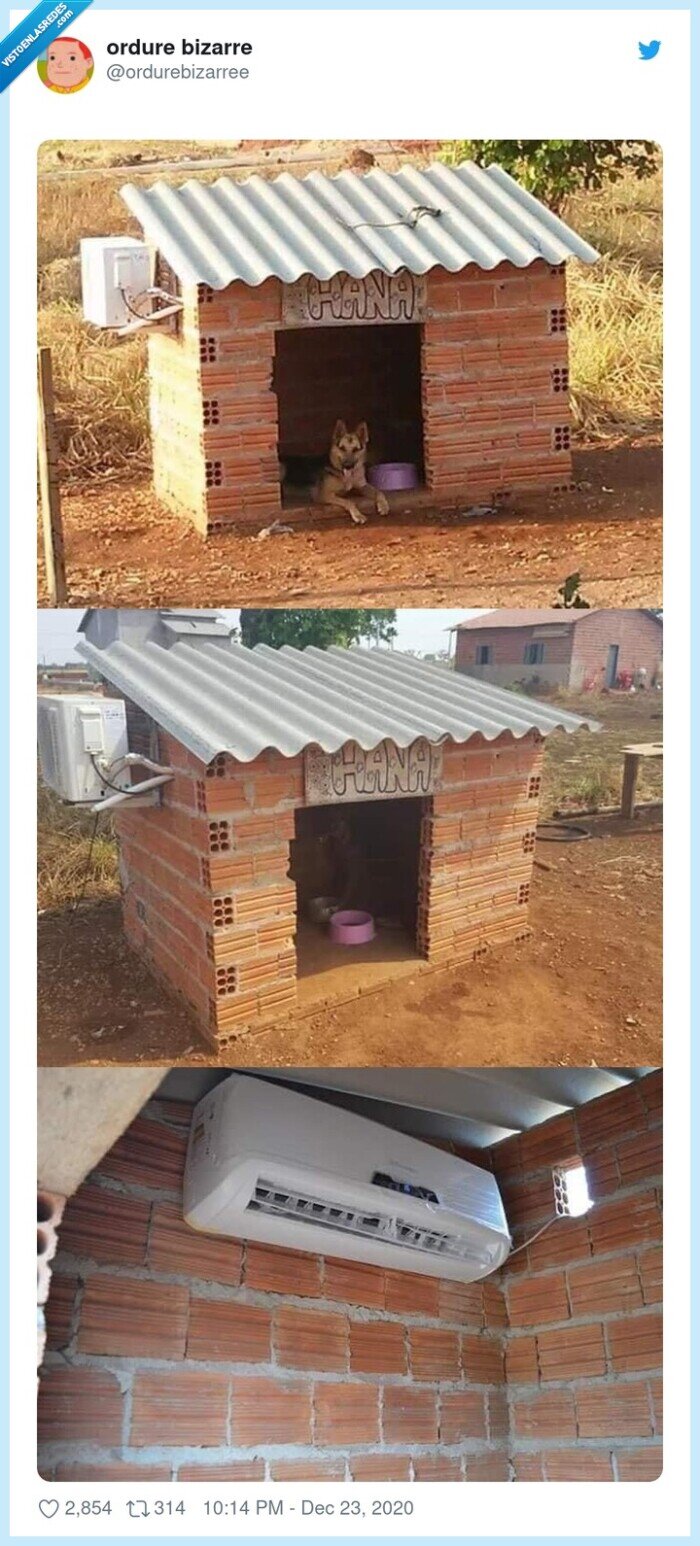 perro,caseta,ac,aire acondicionado