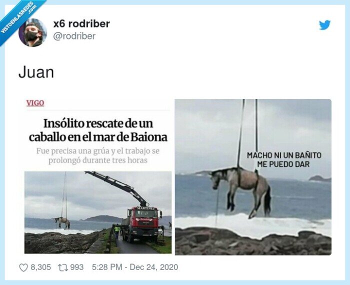 caballo,bañarse,grua
