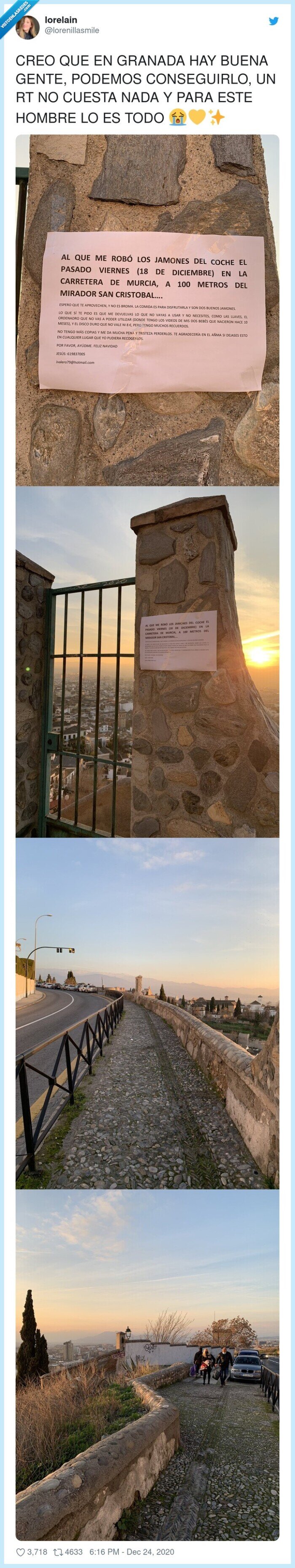 robo,jamon,fotos,niños,ordenador,coche,navidad