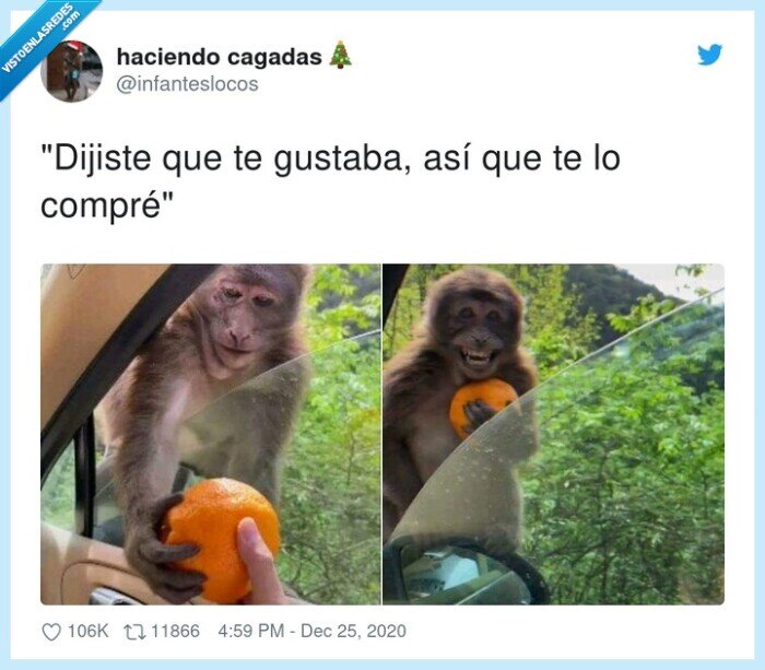 naranja,mono,alegría