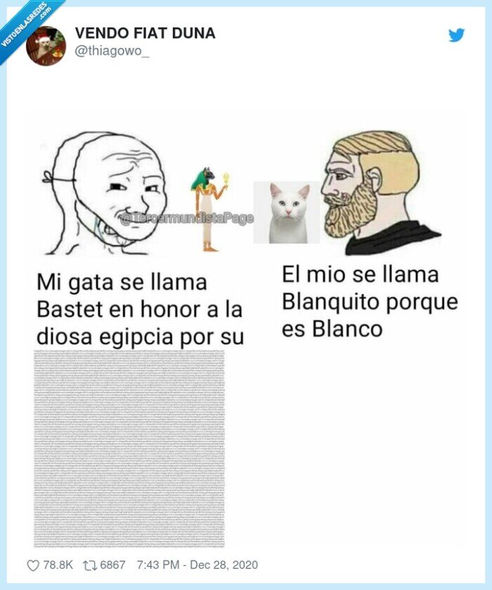 gato,llamarse,bastete,historia,blanquito