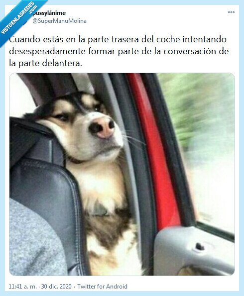 coche,conversación,trasera,delantera