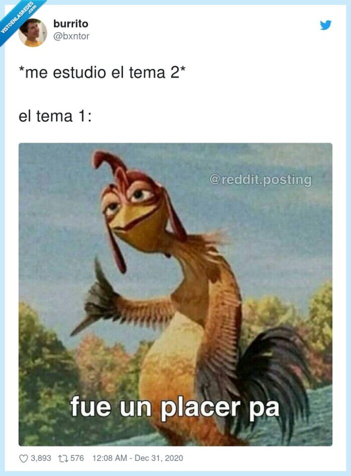 estudiar,temas,olvidar