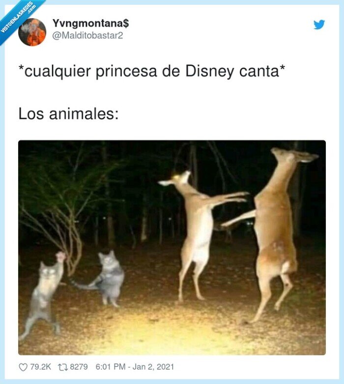 princesa,animales,disney,canciones