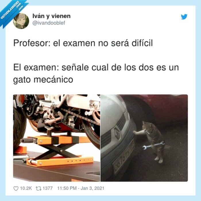 mecánico,profesor,difícil,señalar,examen,gato