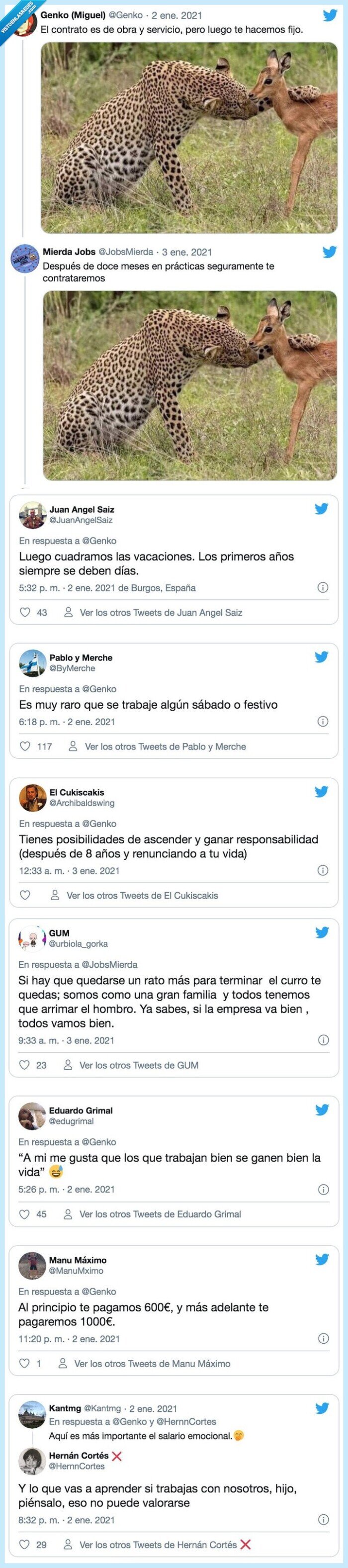 trabajar,guepardo,ciervo,cervatillo