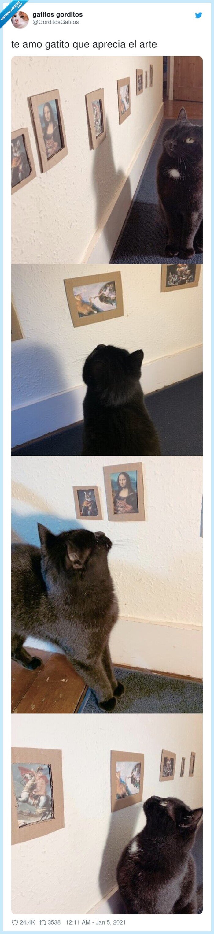 apreciar,gatito,arte,cuadros