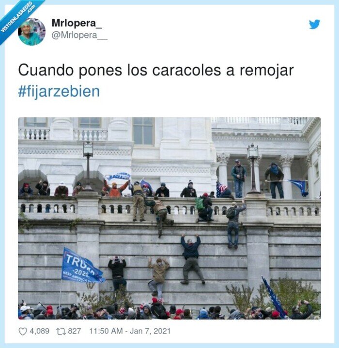 asalto,capitolio,usa,caracoles,remojar