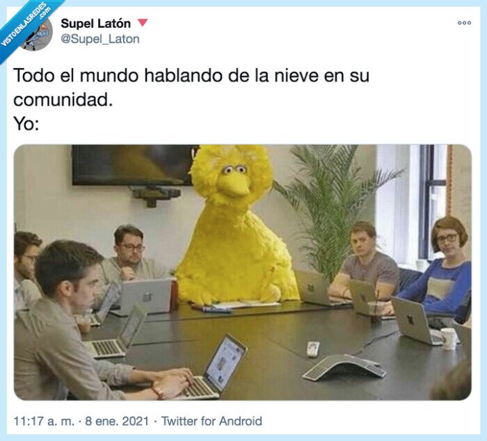 comunidad,hablar,mundo,nieve