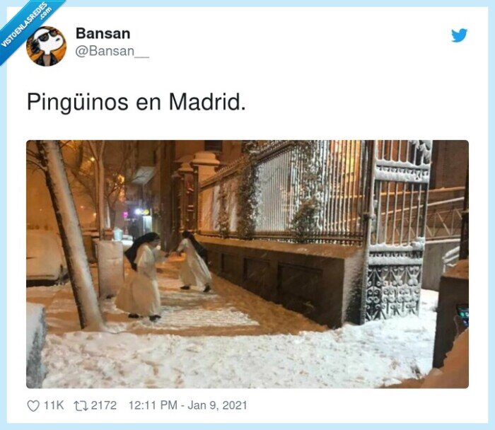 pingüinos,madrid,monjas,nieve,nevada,filomena