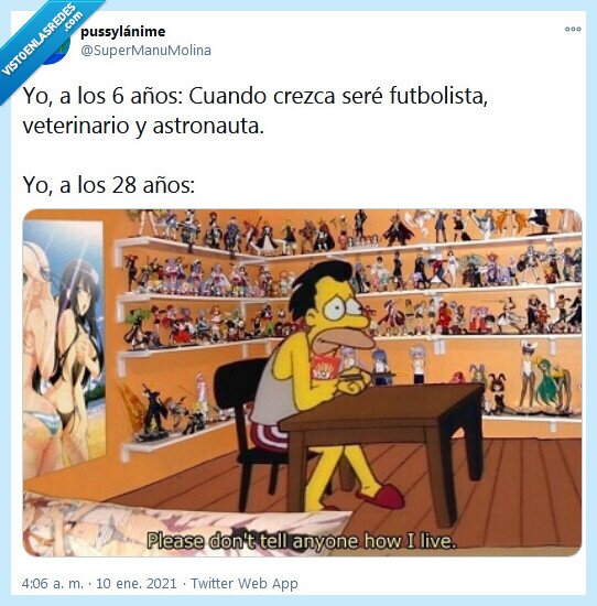 astronauta,futbolista,veterinario,anime,waifu