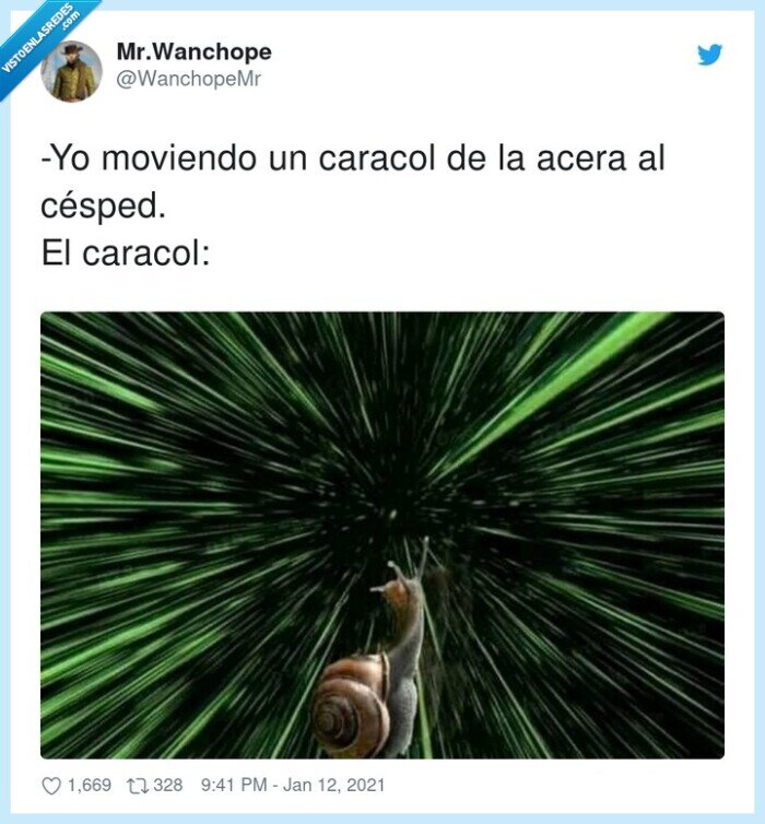 moviendo,caracol,césped,acera,rápido