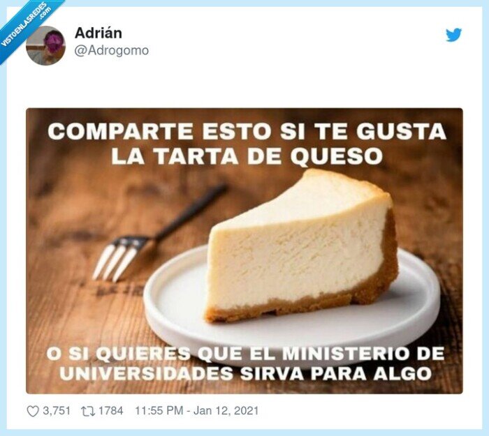 tarta de queso,compartir,ministro,universidad