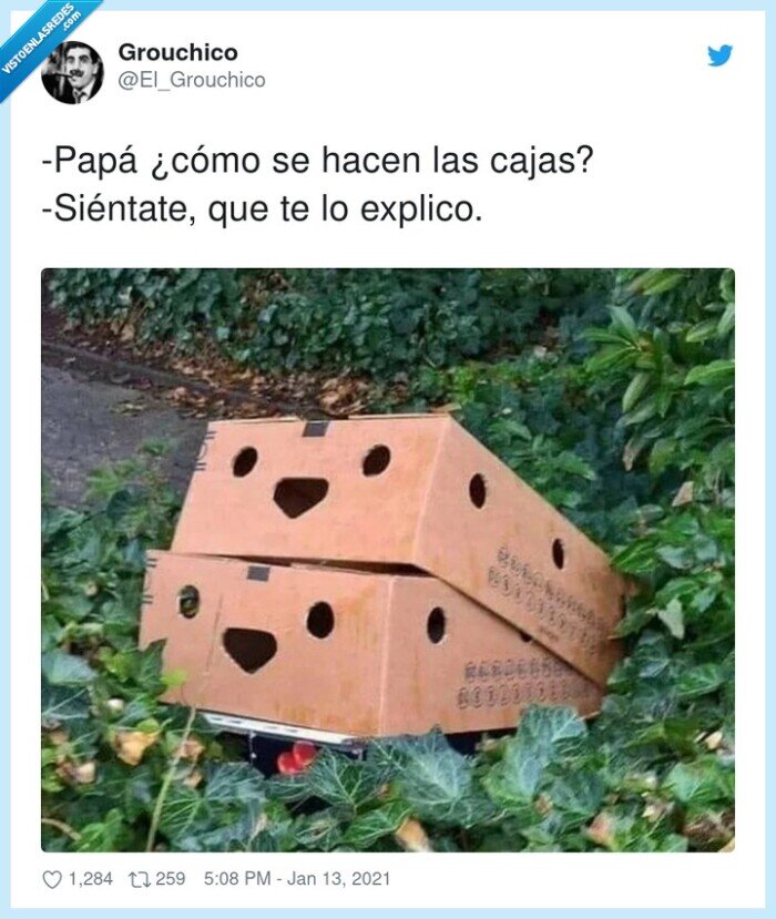 reproduccion,cajas