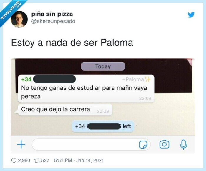 paloma,carrera,universidad,dejar