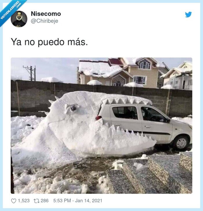 nieve,dinousario,coche