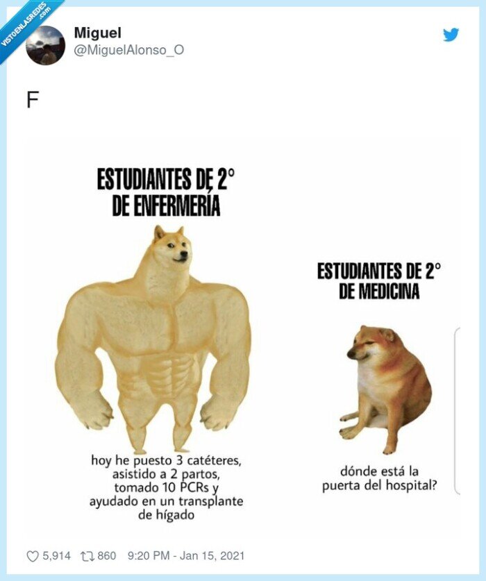 doge,cheems,medicina,enfermer&iacute;a