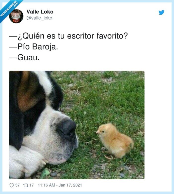 escritor favorito,quién,pío baroja,pío,guau,pollito,perro