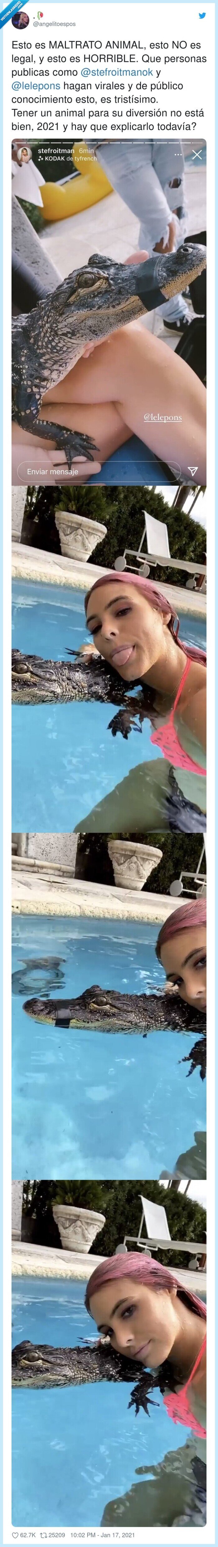 lele pons,cocodrilos,maltrato animal