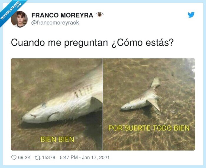 preguntar,bien,tiburón,mordido