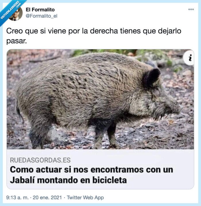 jabalí,circular,derecha