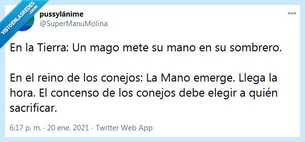 mago,sombrero,conejo,sacrificio