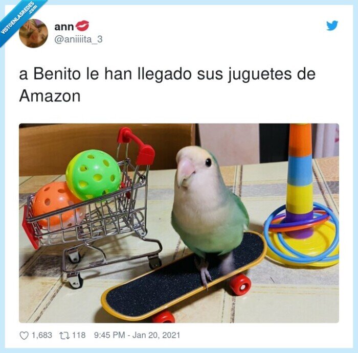 juguetes,benito,amazon,loro