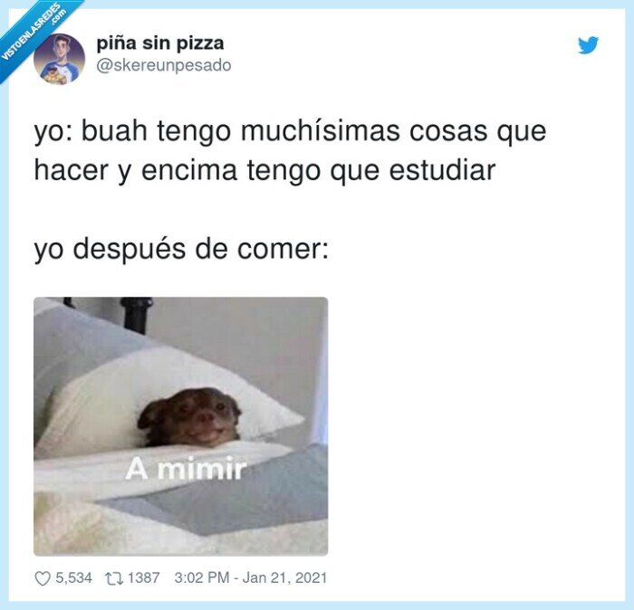 estudiar,dormir,mimir,siesta