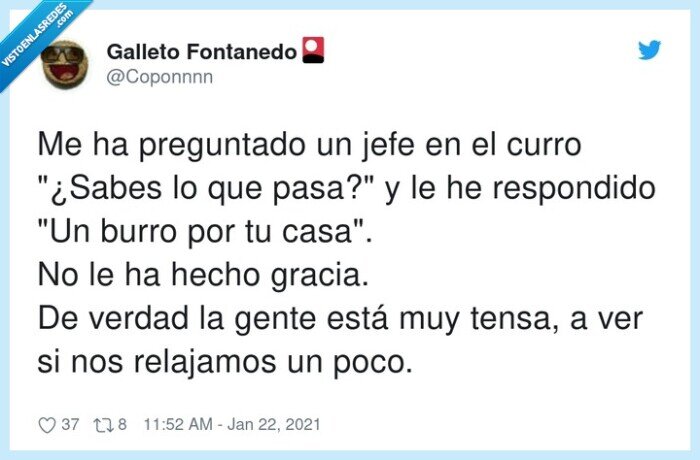 jefe,chistes,gracietas,un burro por tu casa