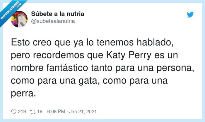 fantástico,katy perry,perro,gato,persona,nombre