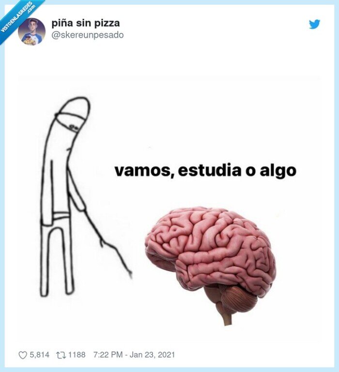 cerebro,estudiar,haz algo