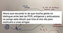 Enlace a ¡Por fin! La diferencia entre PCR, antígenos y anticuerpos explicado de forma fácil, por @CarmenAgustin