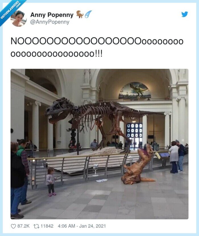 dinosaurio,museo