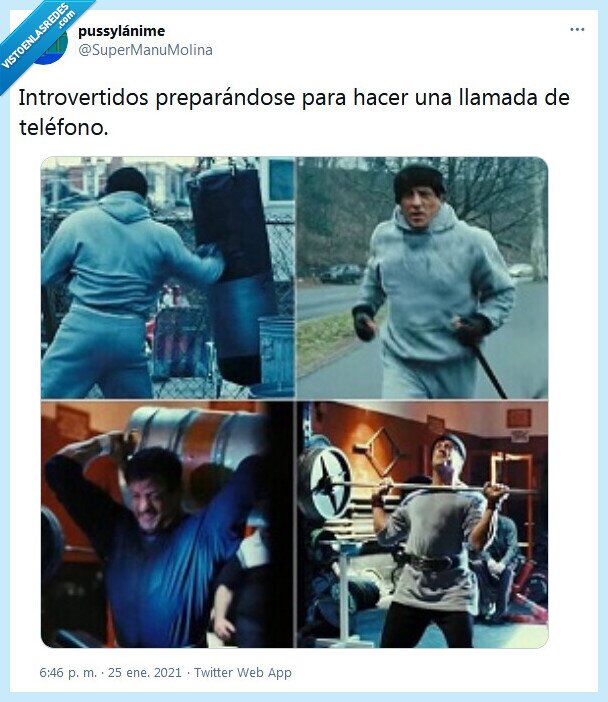 llamada,introvertidos,teléfono,rocky
