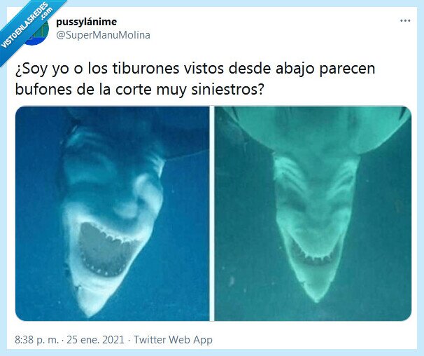 tiburones,bufones,corte,abajo