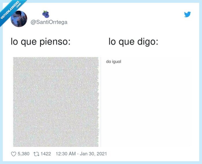 pensar,decir,tocho,explicaciones