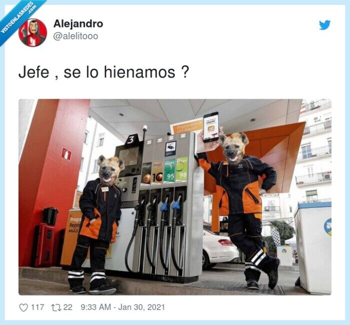 hienamos,hiena,gasolinera