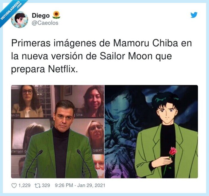 imágenes,prepara,netflix,mamoru,sailor moon,pedro sanchez