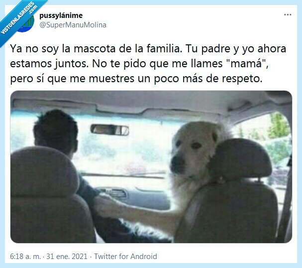 mascota,familia,mamá,respeto