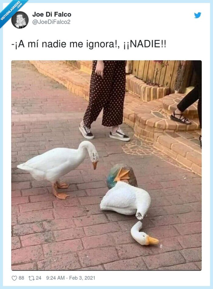 ignorar,partir el cuello,pato