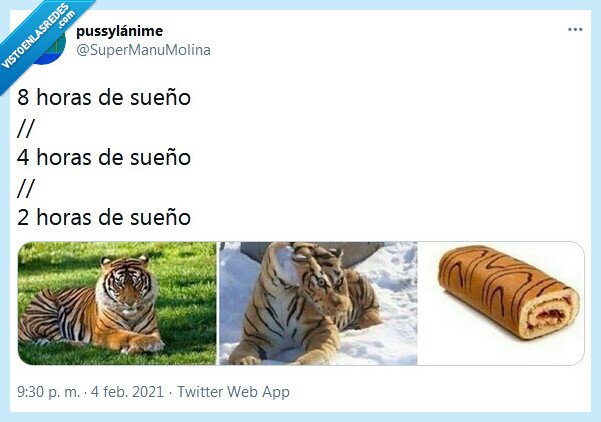 sueño,horas,tigretón,tigre