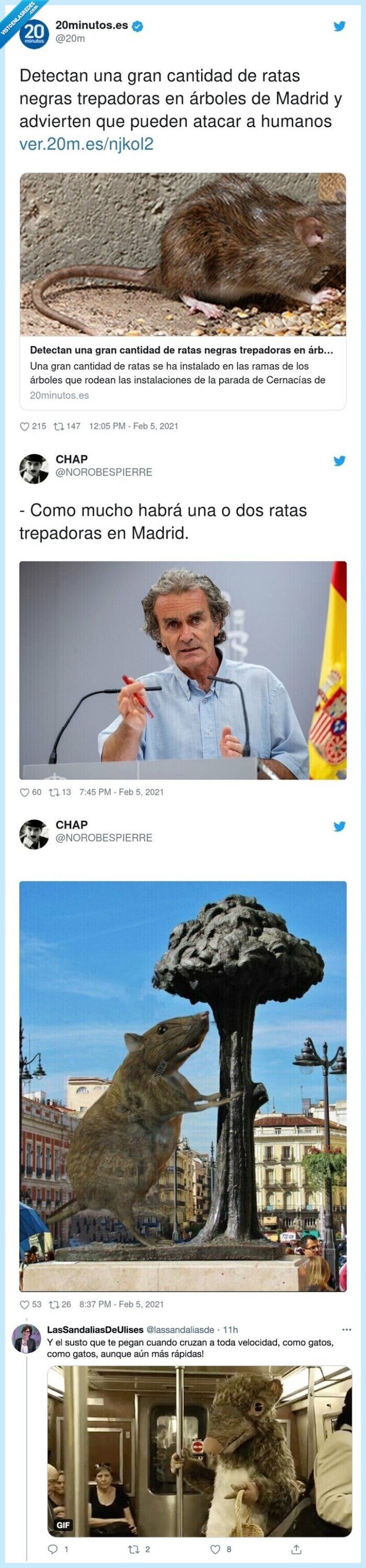 trepadoras,advierten,detectan,cantidad,árboles,humanos