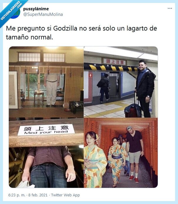 godzilla,lagarto,japón,bajitos