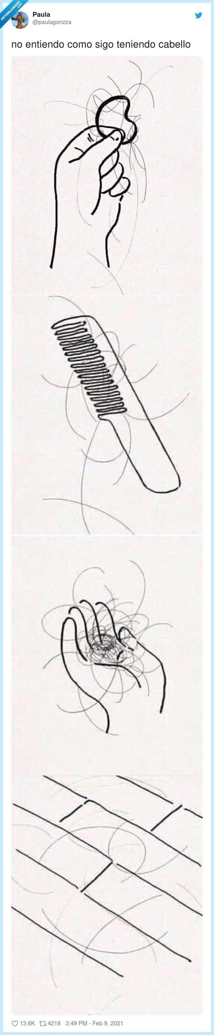 pelo,caerse,suelo