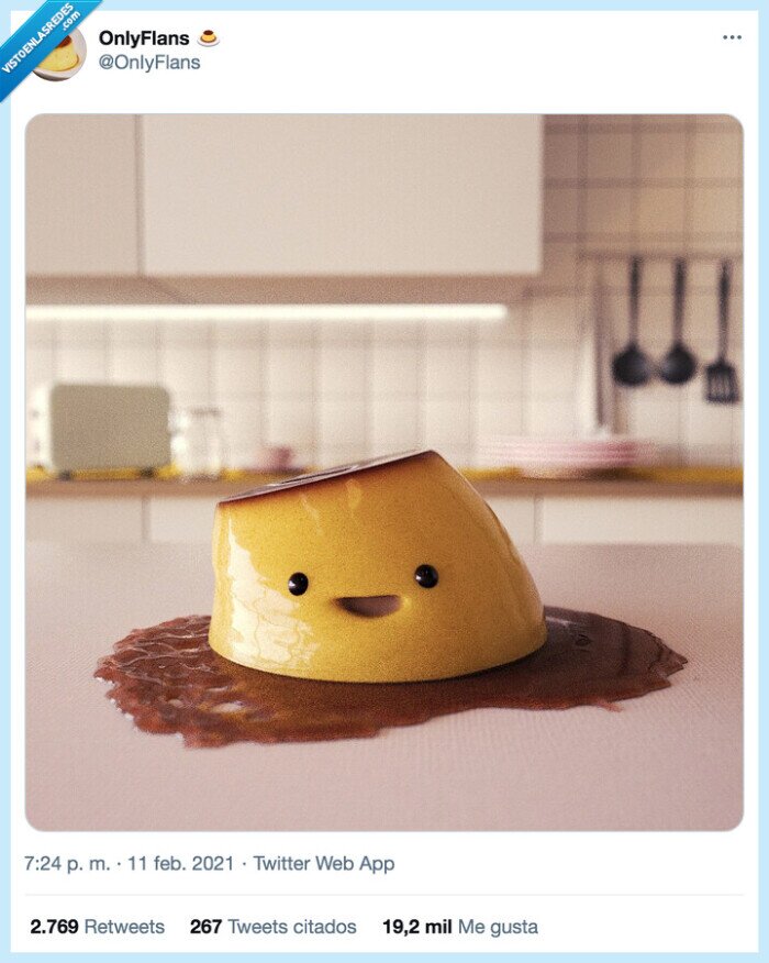 onlyfans,only flan,flan