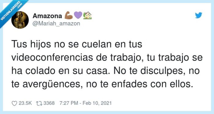 videoconferencias,disculpas,trabajo,hijos