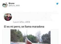 Enlace a Separados al nacer, por @Bruno_8893