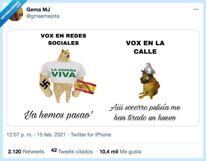 vox,redes sociales,calle,llorones,doge,cheems