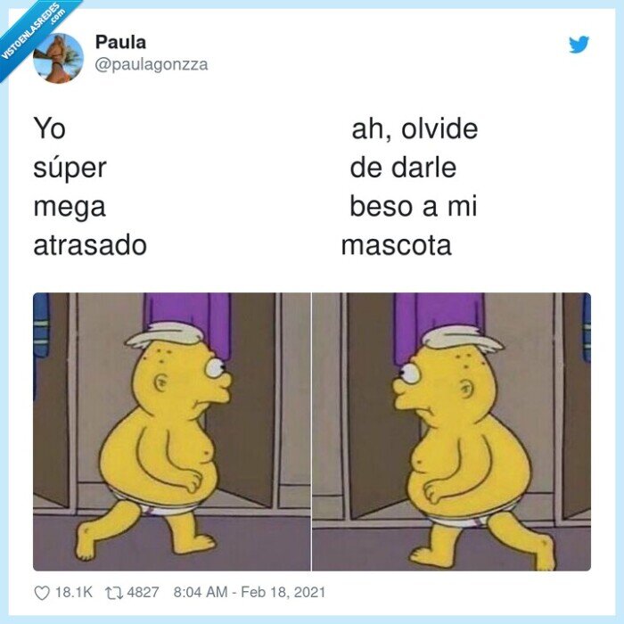 atrasado,mascota,olvidar,beso